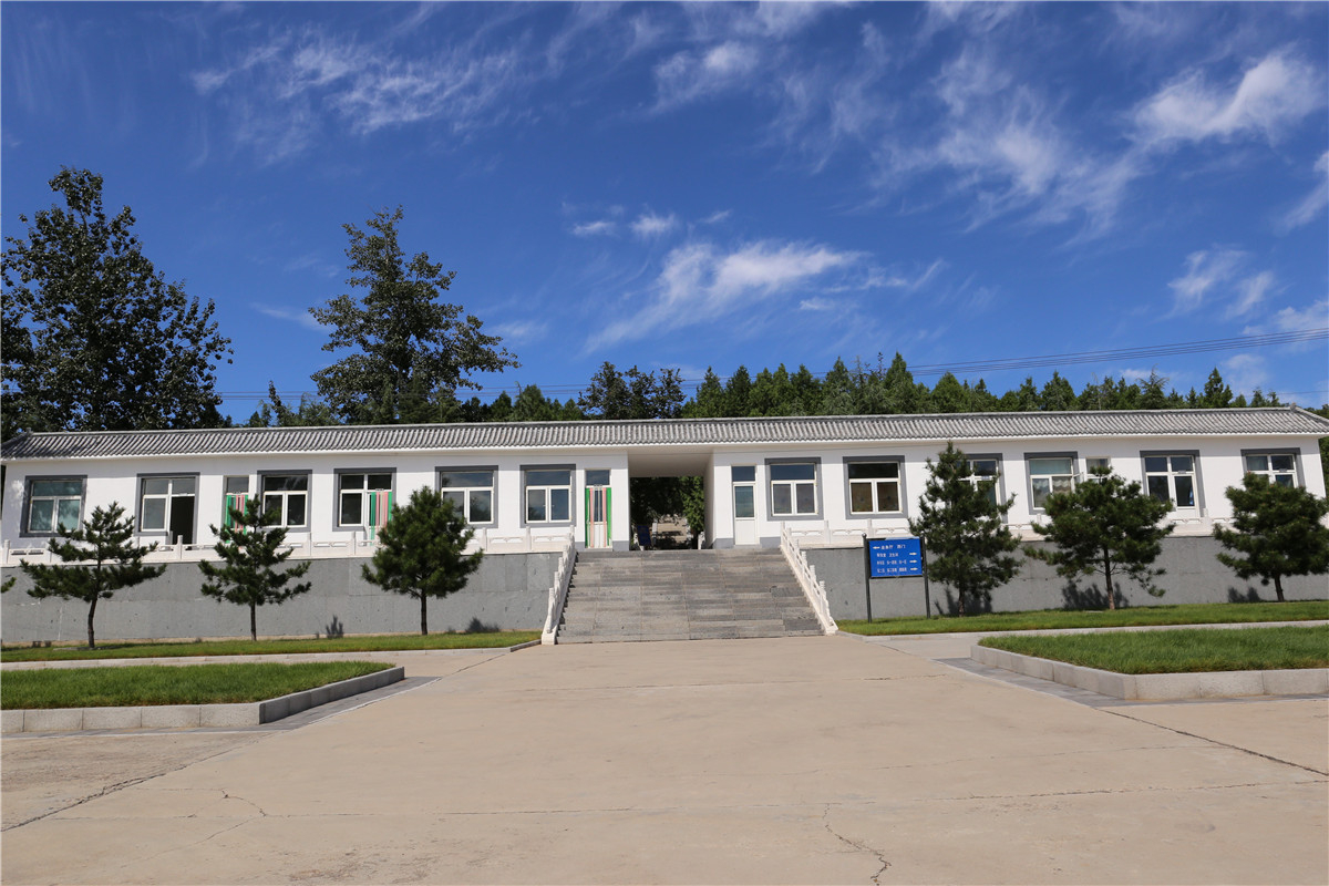 龙泉公墓园区景观